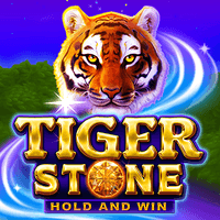 Tiger Stone